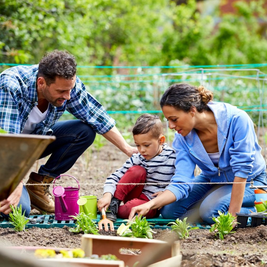 A family of three, consisting of a man, woman, and young boy, gardening together outdoors. The woman and boy are focused on planting or tending to the plants in the soil, while the man crouches nearby, smiling and observing. The scene is set in a lush, green garden with a background of trees and greenery.
