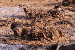 Individuals crawling through thick mud during an intense physical challenge or military-style obstacle course, with water and dirt splashing around them.