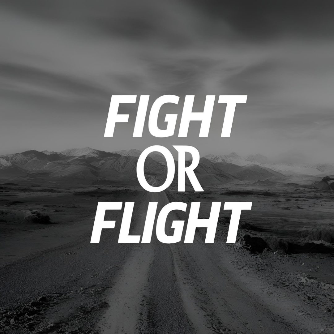 In a black and white landscape scene with mountains and a dirt road, the bold white text overlaid reads "FIGHT OR FLIGHT."