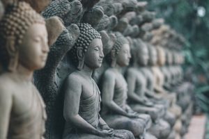 Multiple stone Buddha statues seated in a row, each with serene expressions, in a peaceful outdoor setting.