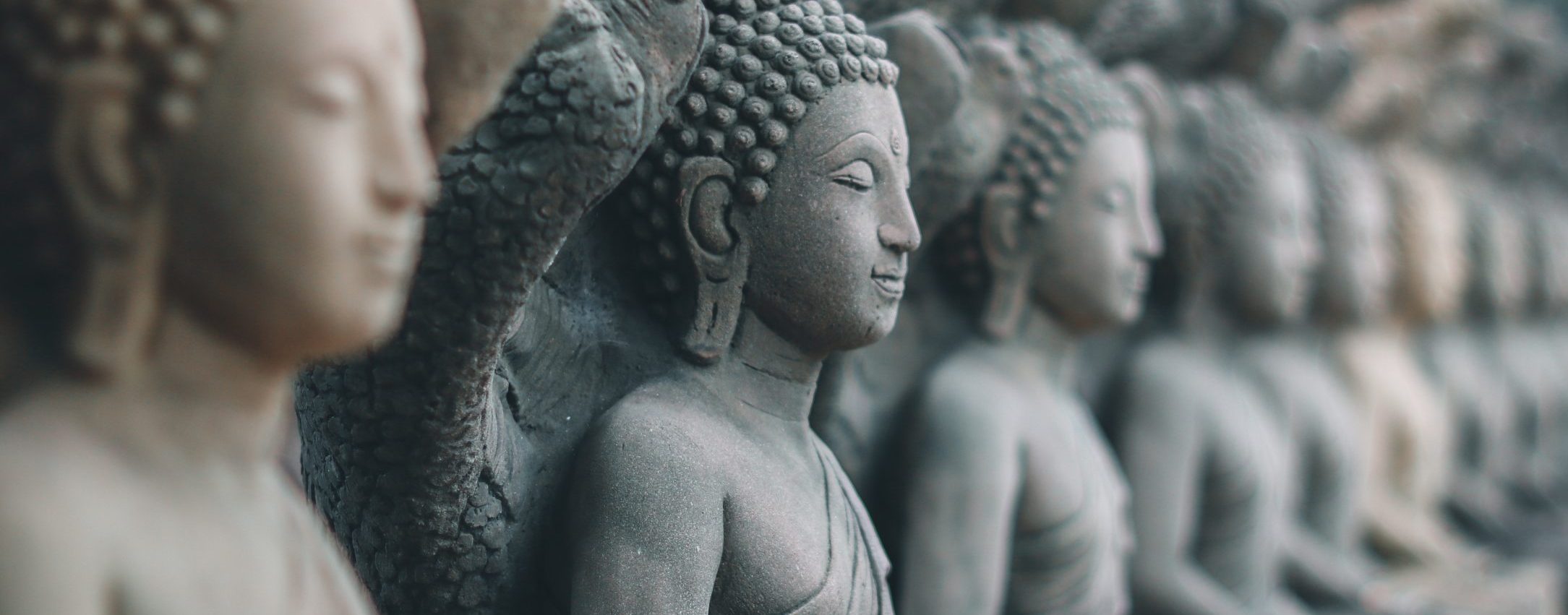 Multiple stone Buddha statues seated in a row, each with serene expressions, in a peaceful outdoor setting.