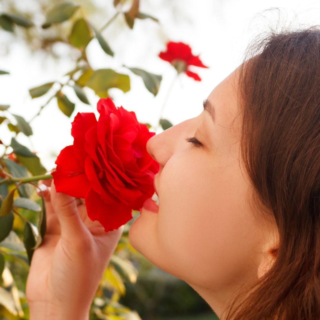 A woman with brown hair is holding a large red rose close to her nose, appearing to smell it. She has her eyes closed and a gentle expression on her face. The background shows green leaves and a blurred outdoor setting.