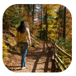 A lady walking in the woods on a pathway. A lady walking in the woods on a pathway.